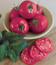 Razzle Dazzle Hybrid Tomato